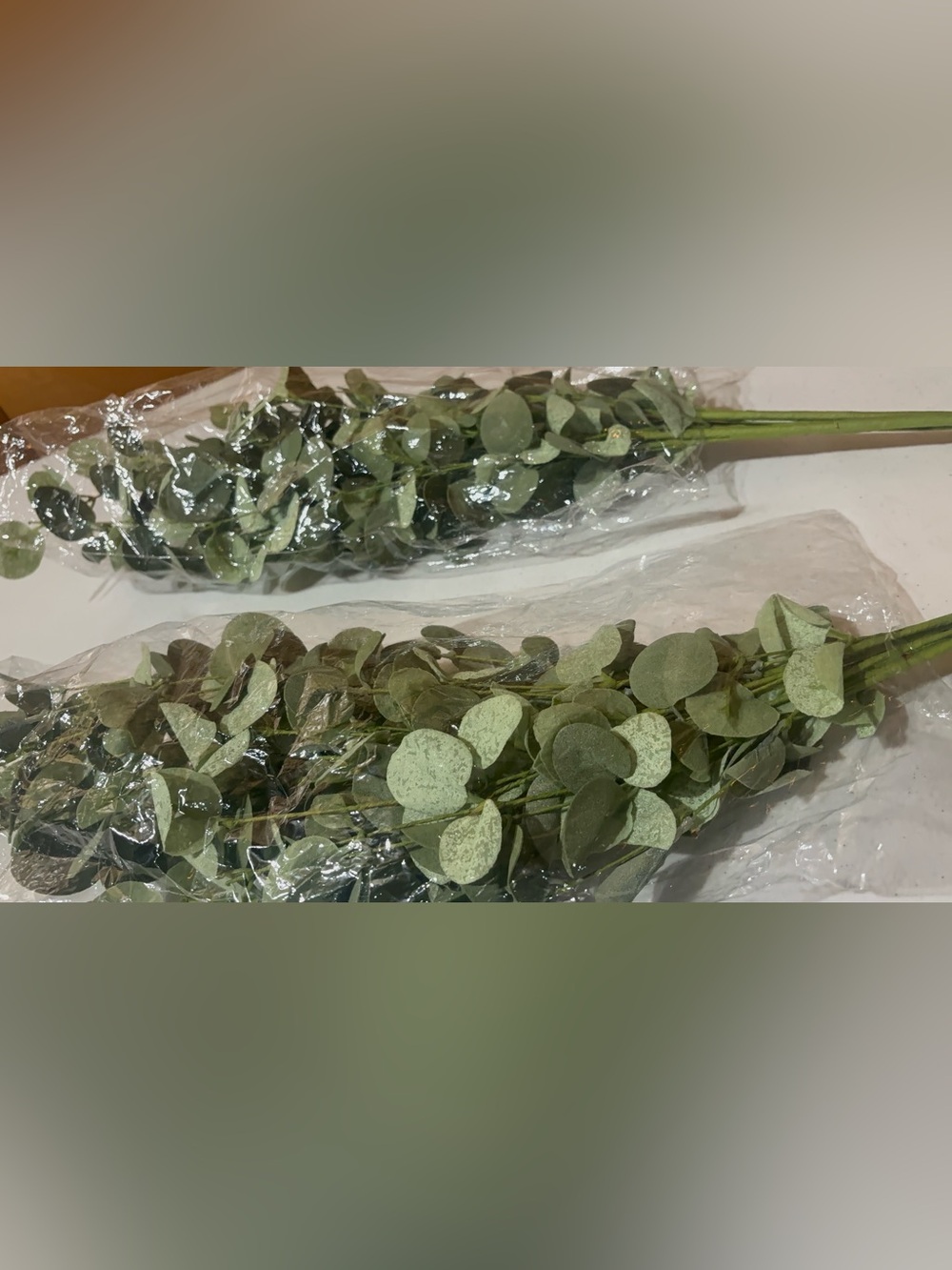 Set of 2 Faux Silver Dollar Eucalyptus Bundles - Muted Sage Green Greenery